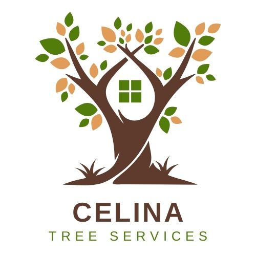 EZ-Works Celina Tree Services