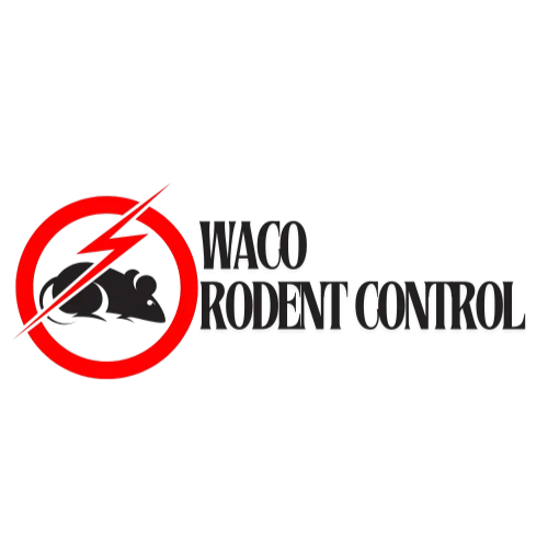 Waco Rodent Control