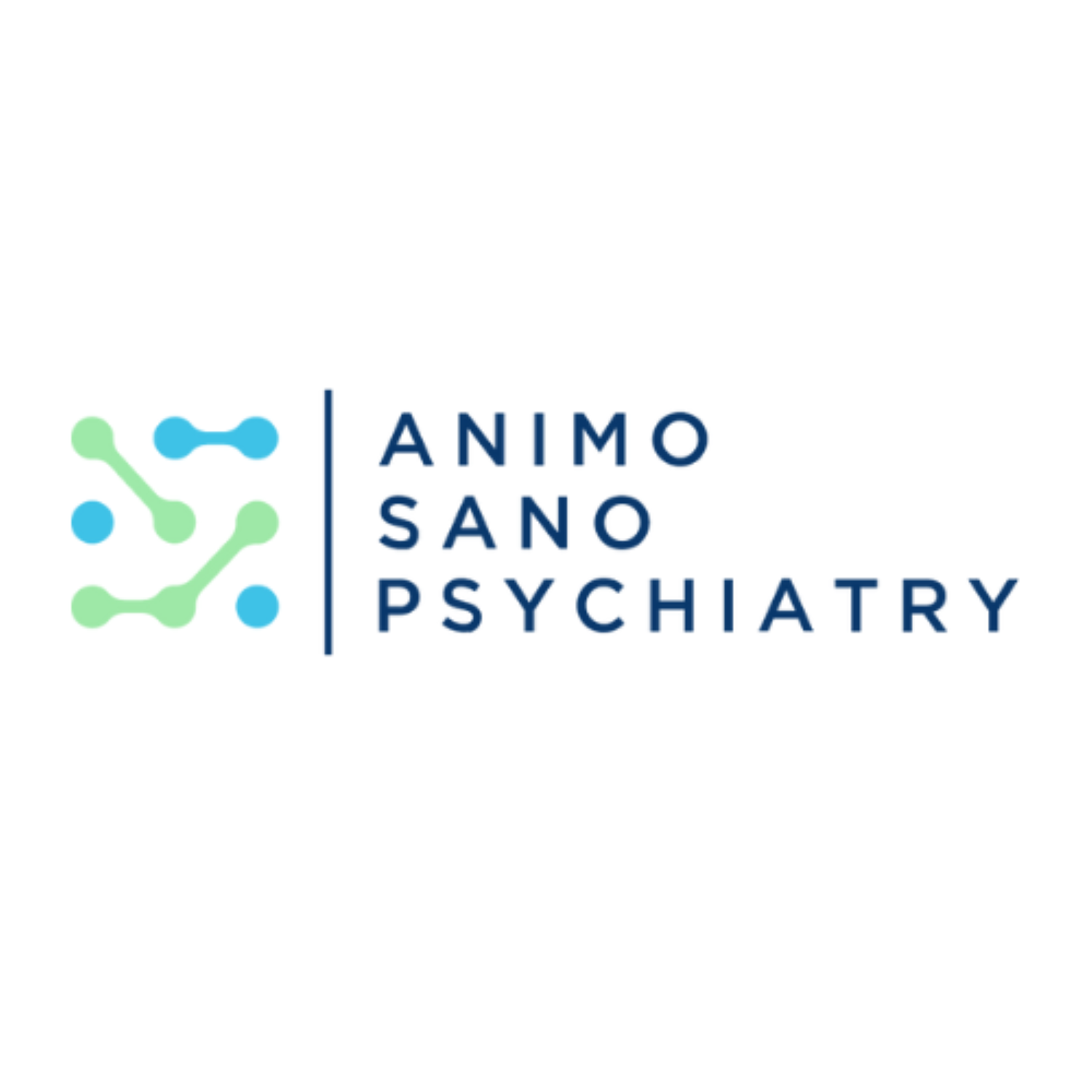 Animo Sano Psychiatry - Missouri