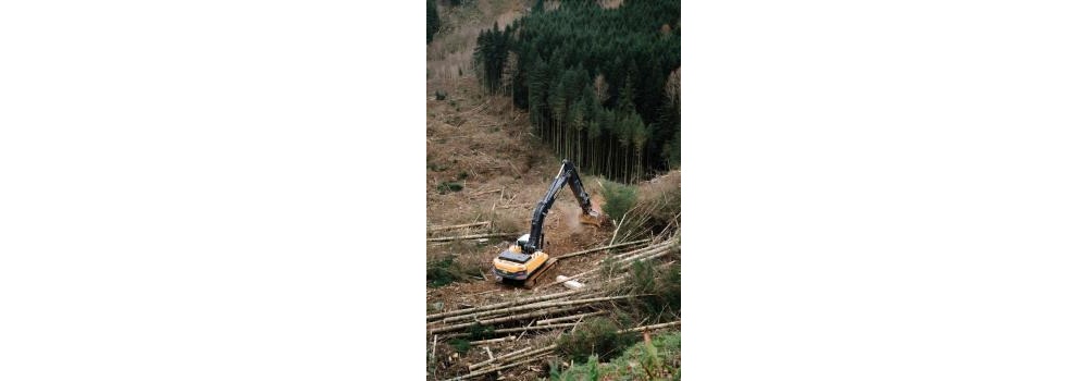 Woodland Works Inc