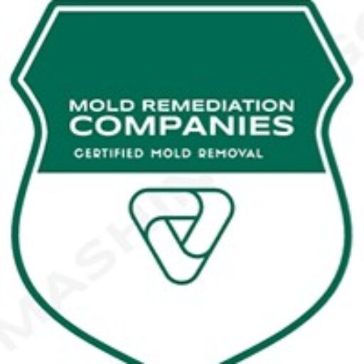 Kissimmee Mold Remediation Pros
