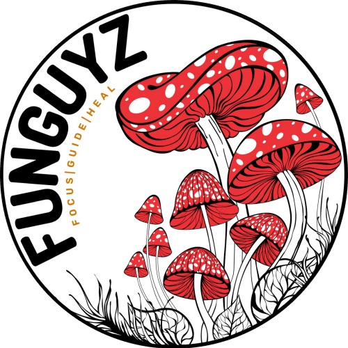 FunGuyz - Magic Mushroom Dispensary