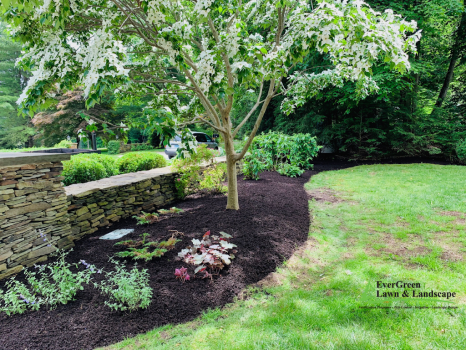 EverGreen Lawn & Landscape Maintenance