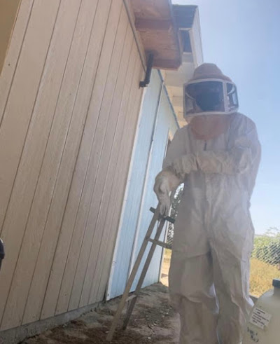 Safe T Spray Pest Control