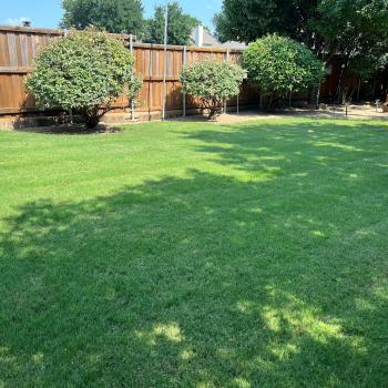 North Texas Lawn Solutions - Fertilization & Weed Control Specialists