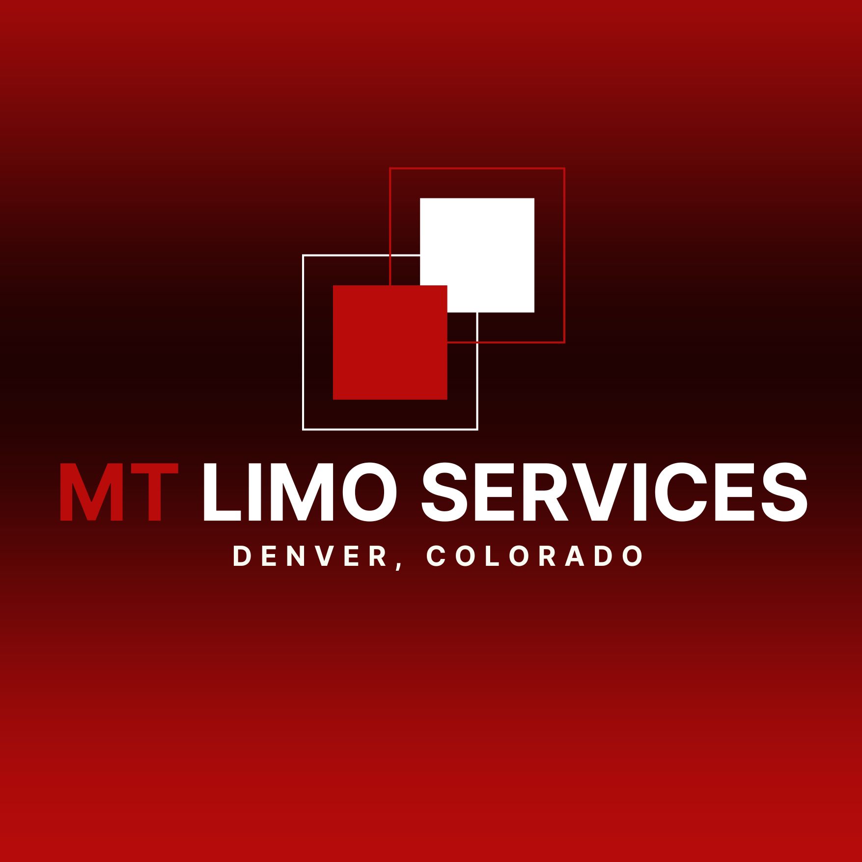 Mt Limousine Worldwide Inc