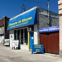 Flowers In Bloom