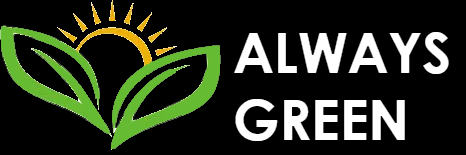 Always Green Carpet Cleaner of Manhattan