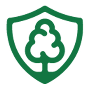 Tree Scouts Tree Service Leander
