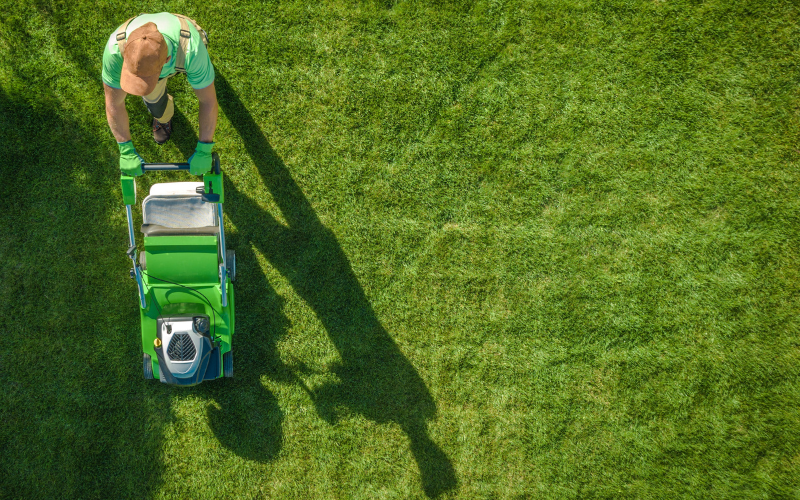 Green Landscape | Landscaping Design Los Angeles, CA