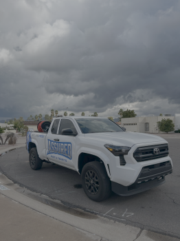 Assured Pest & Termite