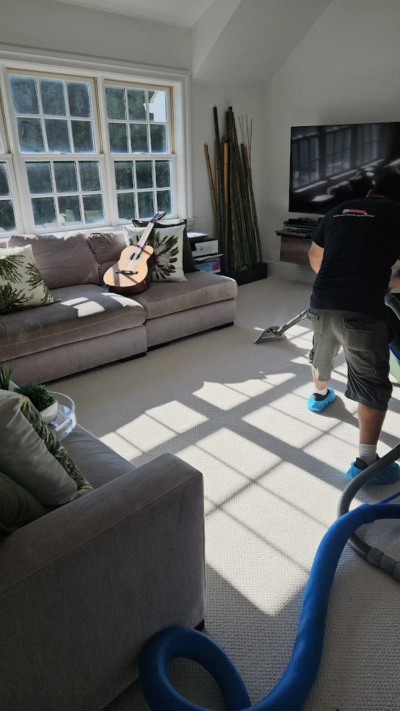 Same Day Carpet Cleaning NY