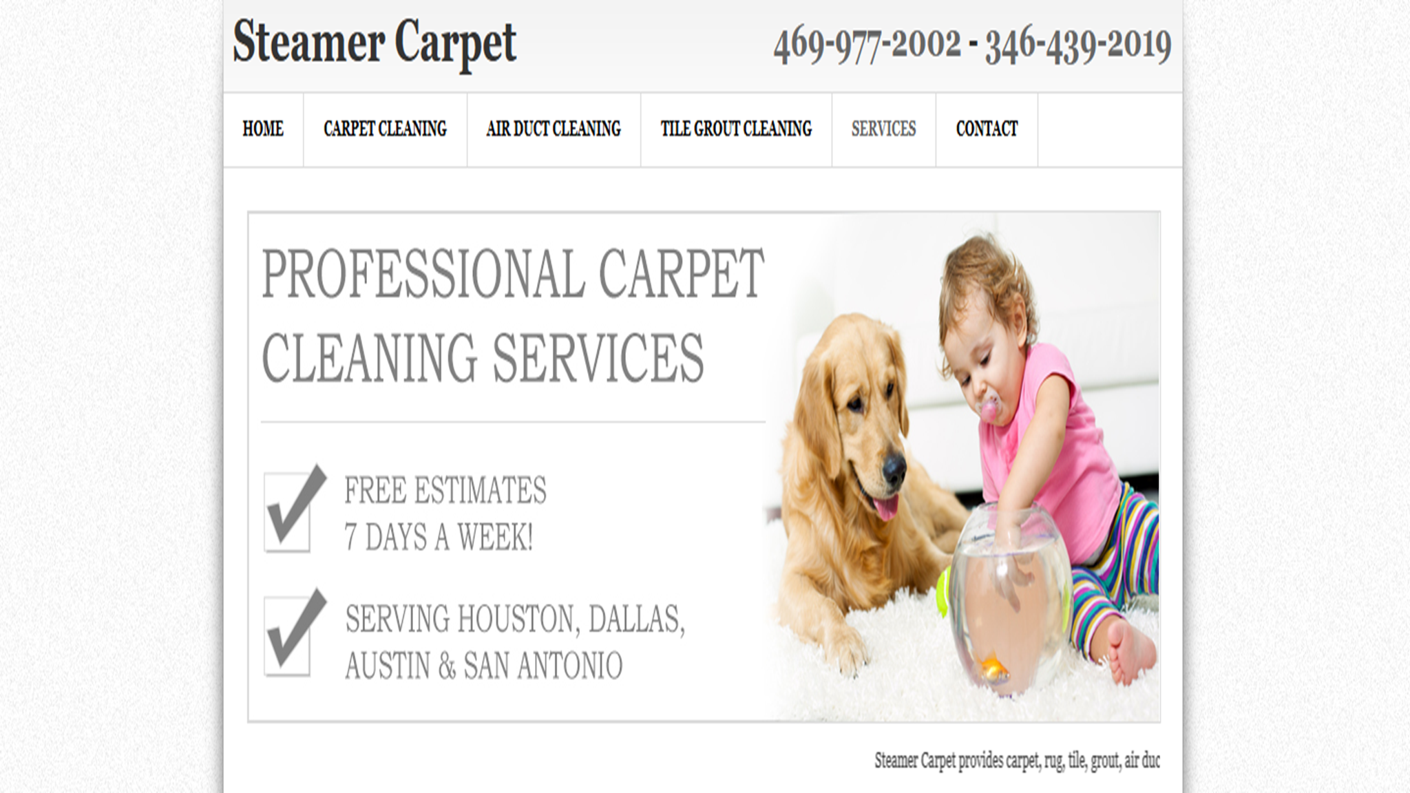 Steamer Carpet