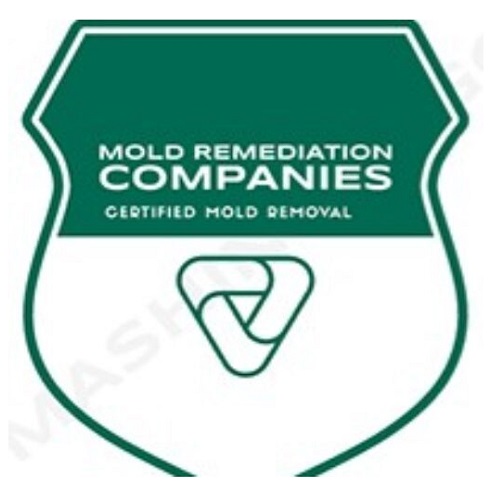 Stockton Mold Remediation Pros