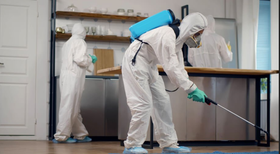 Innovative Pest  Solutions