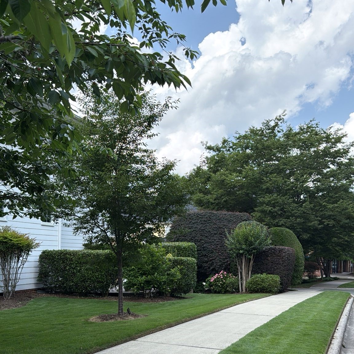MC Landscaping & Hardscape
