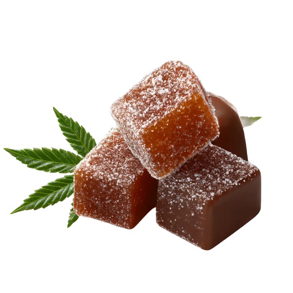 Jersey City Dispensary