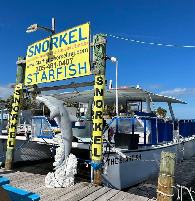 Starfish Snorkeling Marathon