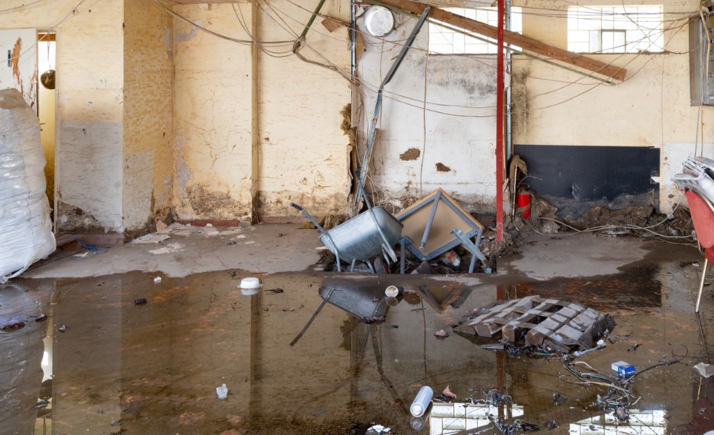 First Response Water Damage Restoration Philadelphia