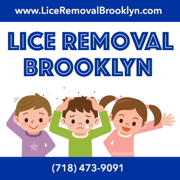 Brooklyn Lice Experts