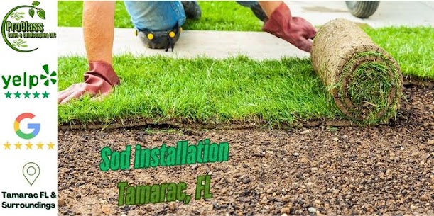 ProClass Artificial Turf