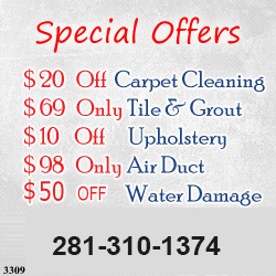 Carpet Steam Cleaning Service