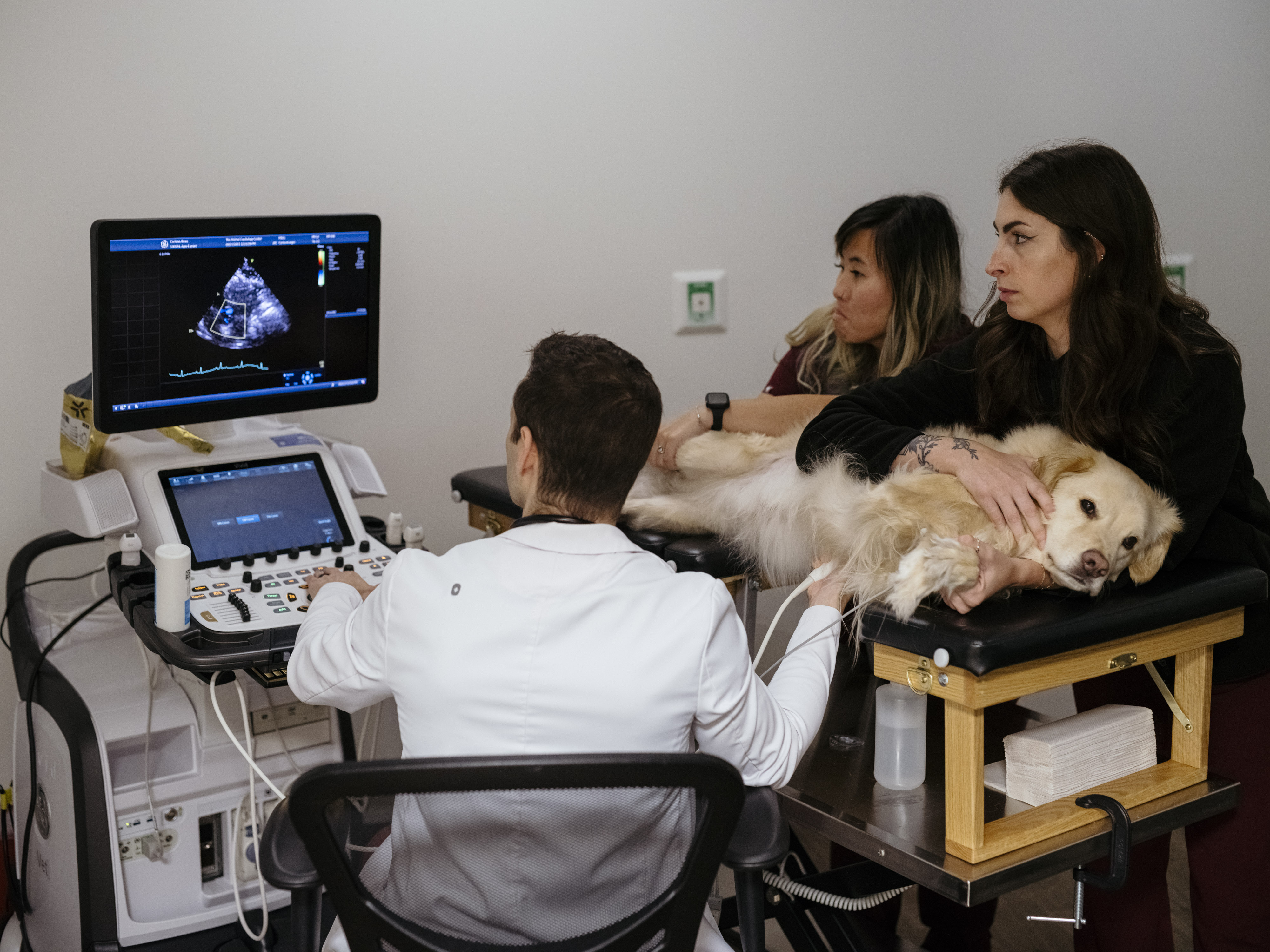The Animal Cardiology Center - Westchester