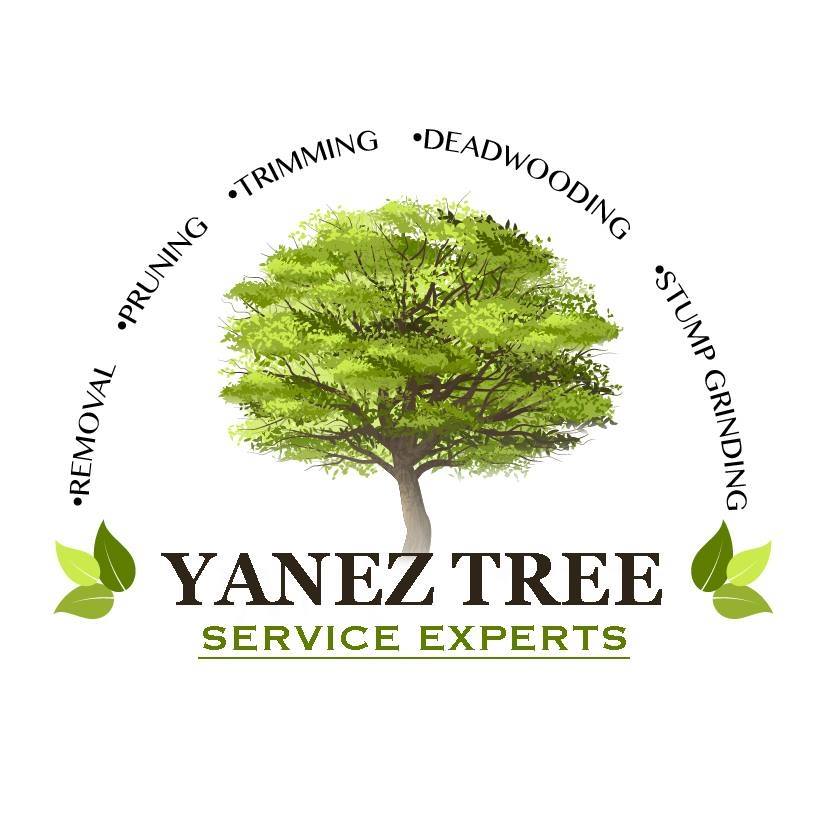 Yanez Tree Service Experts