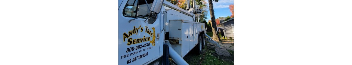 Andy's Tree Service