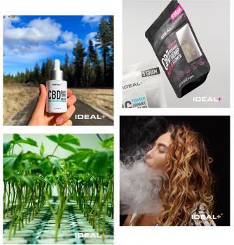 Ideal Plus: Premium THCa Flower and THCa Wholesale