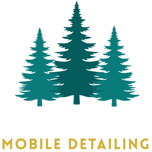 Spruce Mobile Detailing – RV Boat Auto Aircraft