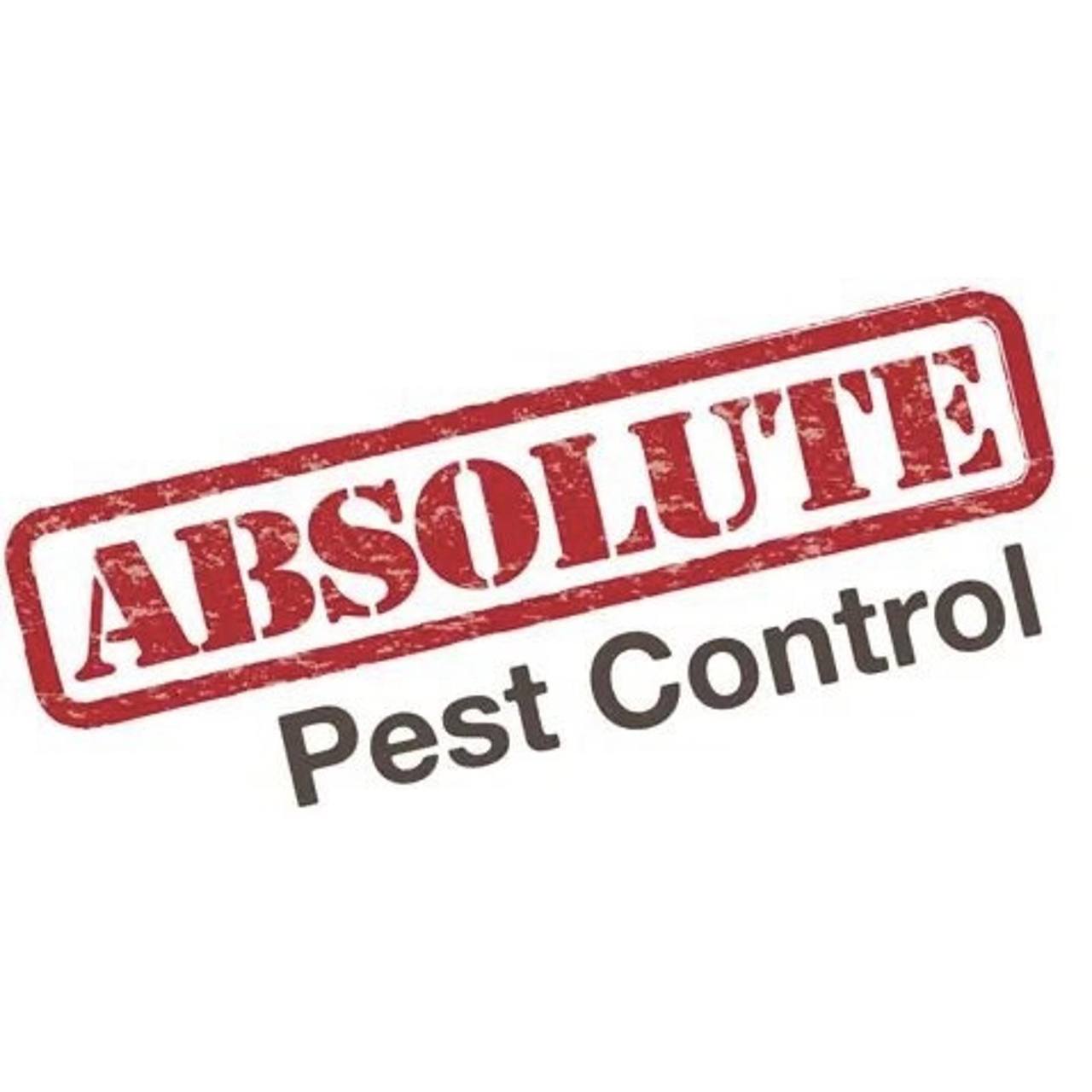 Absolute Pest Control