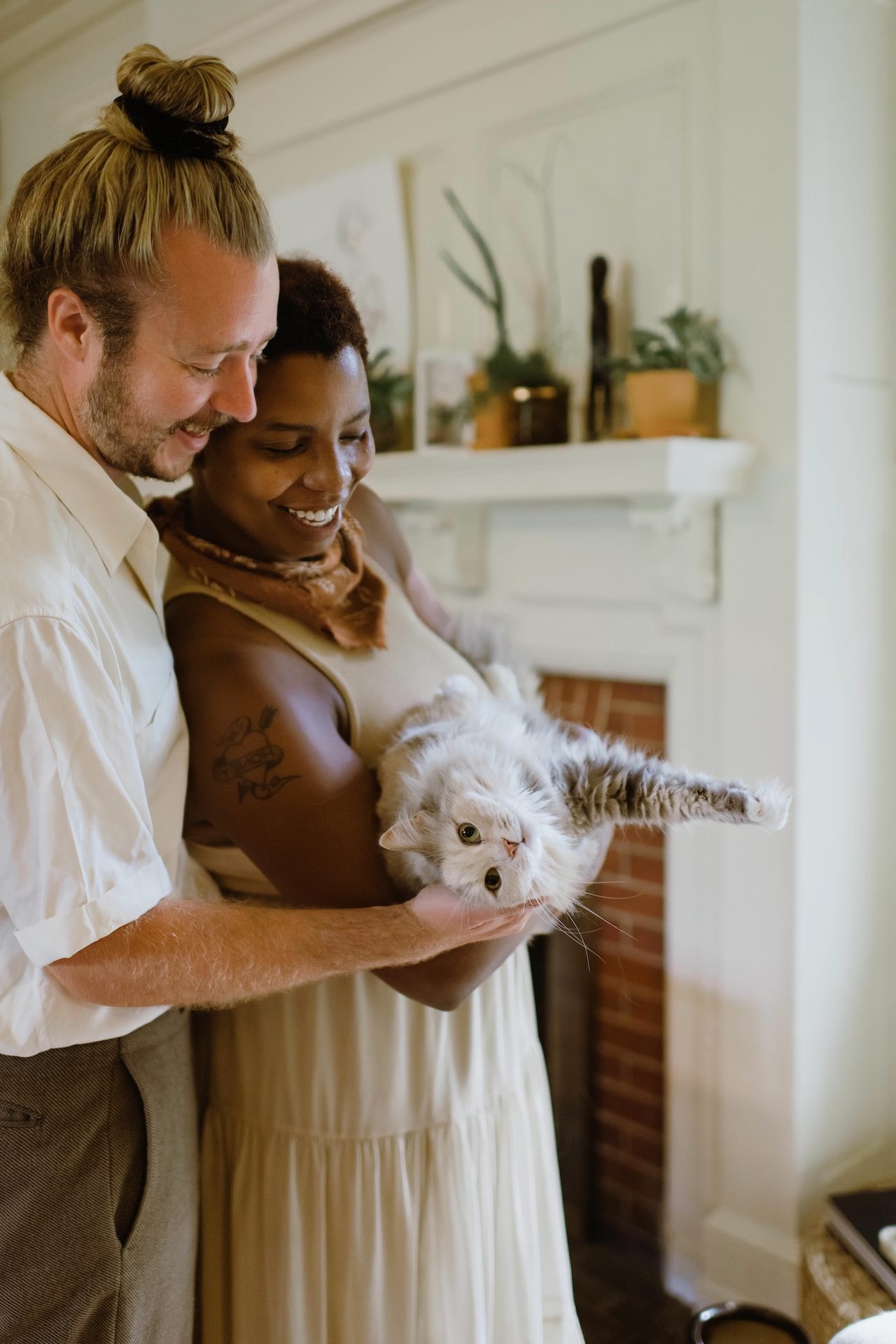 Cherished Companions Animal Clinic