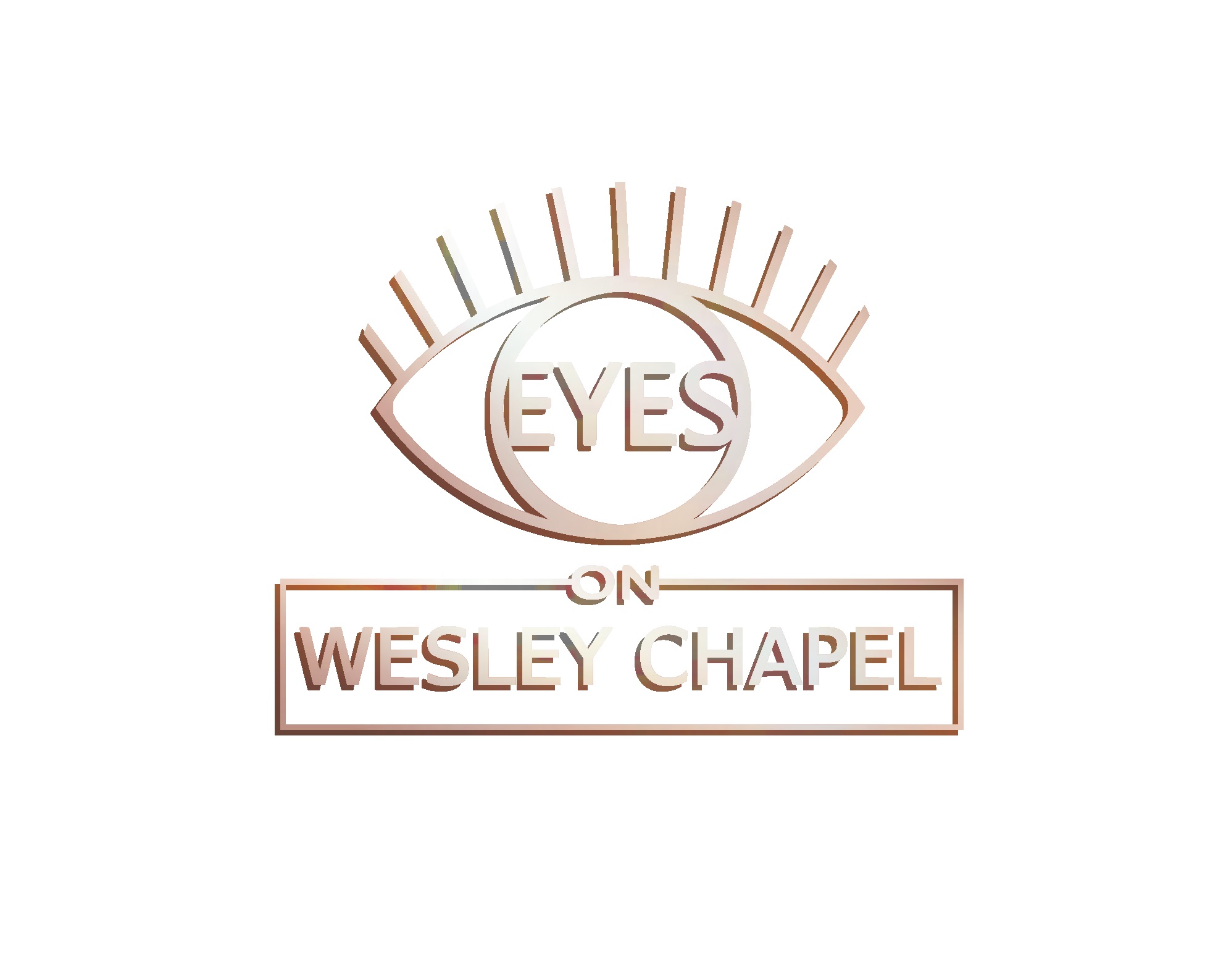 Eyes on Wesley Chapel