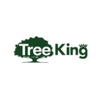 Tree King Ottawa