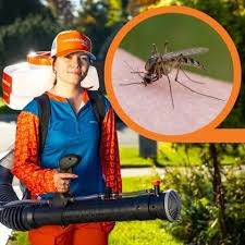 mosquito.buzz - Moncton Mosquito Control