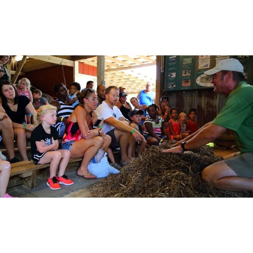 Insta-Gator Ranch & Hatchery