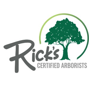 Rick's Certified Arborists