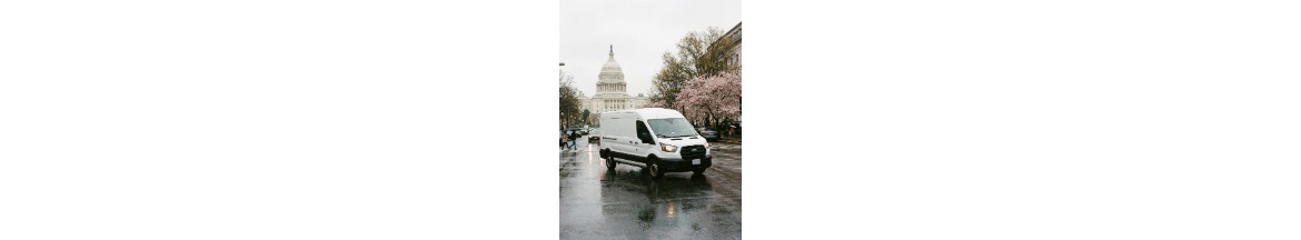 Fast Mold Testing - Washington, DC