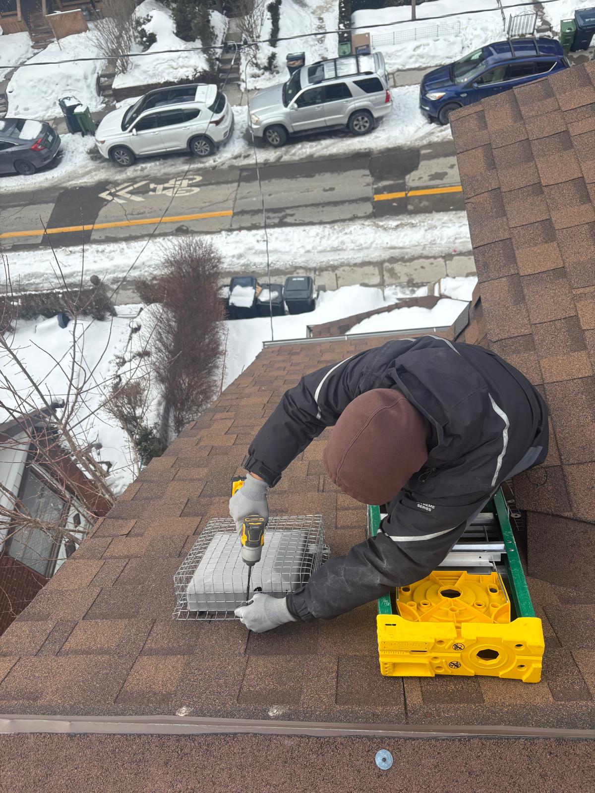 Wildlife removal pro Toronto