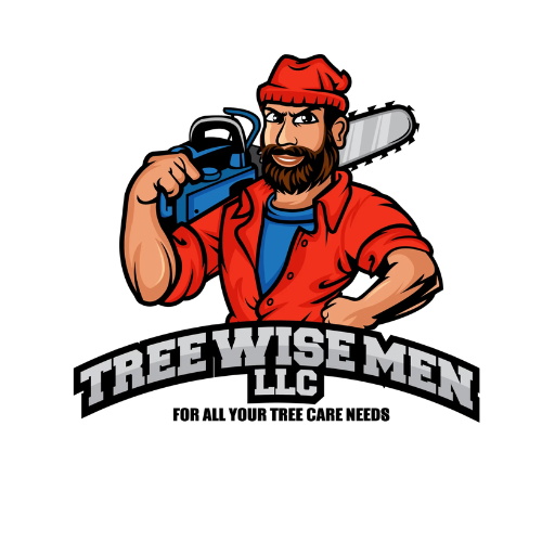 Tree Wise Men