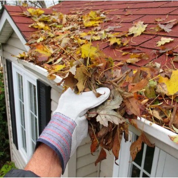 The Gutter Guys and Gals of Michigan