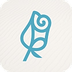 Dr. Rose Plastic Surgery