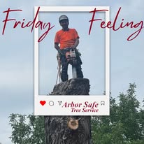 ArborSafe Tree Service