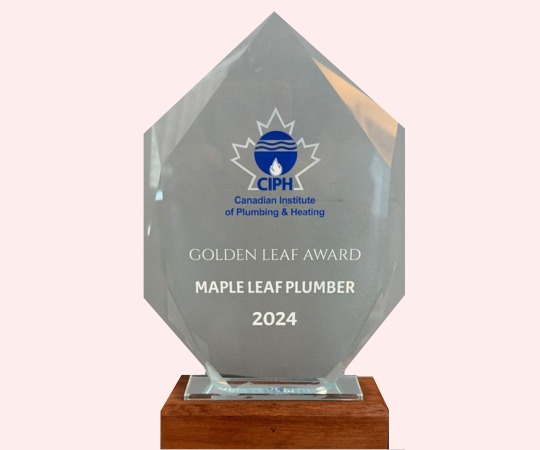 Maple Leaf Plumber