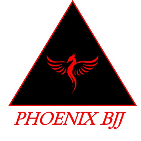 Phoenix Brazilian Jiu-Jitsu and Martial Arts School