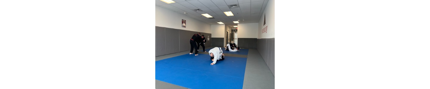 Phoenix Brazilian Jiu-Jitsu and Martial Arts School