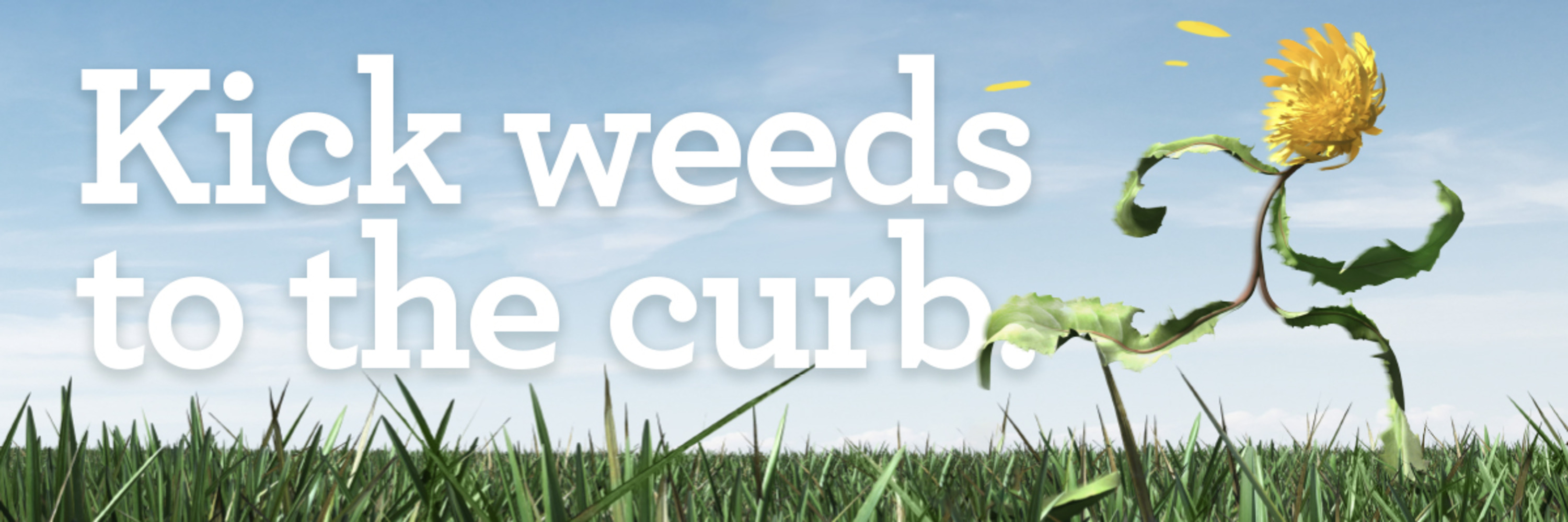 Green Drop Lawns Ltd.