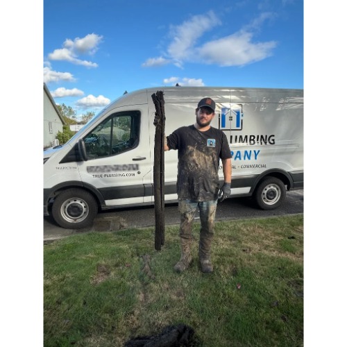 True Plumbing