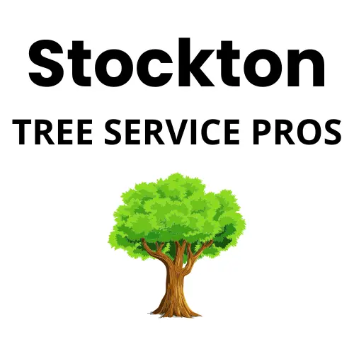 Stockton Tree Service Pros